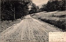 Postcard~Walton New York~River Road to Rock Rift~Scenic~Posted c1908 picture