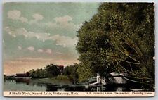 Vicksburg Michigan~Shady Nook on Sunset Lake~c1910 Postcard picture