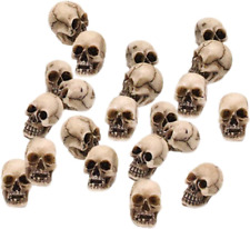 20Pcs Halloween Skull Decor Resin Mini Skulls Human Skeleton Skull Head for H... picture