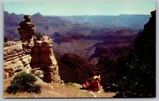 Grand Canyon National Park Arizona View Duck On Rock AZ Postcard UNP VTG Unused picture