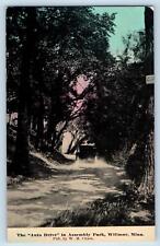 1913 The Auto Drive In Assembly Park Dirt Road Trees Willmar Minnesota Postcard picture