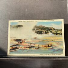 Summit Basin Springs at Mammoth Yellowstone National Park Vintage Linen Postcard picture