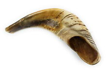 Traditional Natural Shofar Ram's Horn From Israel Certified Kosher (13-15 Inch) picture