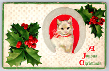 c1910s Christmas Joyous MIstletoe Embossed Cat White Kitten Vintage Postcard picture