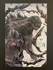 GODZILLA: HERE THERE BE DRAGONS #3 *HIGH GRADE* 1:10 RI VARIANT  LOTS OF PICS picture