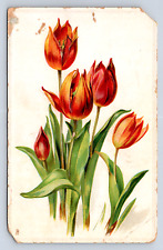 Vintage Postcard Floral Tulips Tucks Postcard early 1900s picture