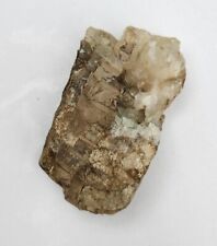 Orthoceras Calcite Natural Fossil Specimen Eastern European Estonia 24g picture
