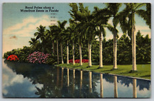 1955 posted postcard 5.5x3.5 inch linen Royal Palms at Waterfront Estate Florida picture