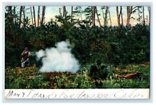 c1905 Man Rifle Gun Shooting Hunting Fox In The Forest Unposted Antique Postcard picture