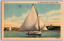 Cape Cod, Massachusetts MA - Boat Sailing along the Shore - Vintage Postcard picture