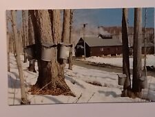 Berlin New Hampshire Bisson's Maple Suger House Cates Hill Road  Postcard picture