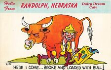 Postcard Hello From Randolph, NE: Dairy Dream Cafe, 