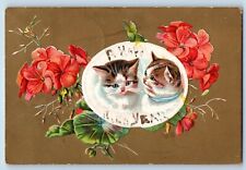 Kenyon Minnesota MN Postcard Cute Cat Kitten And Flowers Embossed 1908 Antique picture