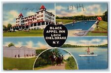 c1940's Black Appel Inn Loch Sheldrake New York NY, Multiview Vintage Postcard picture