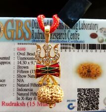 15 Mukhi Rudraksha / Fifteen Face Rudraksh-12-14 mm Java bead Pendant- Certified picture