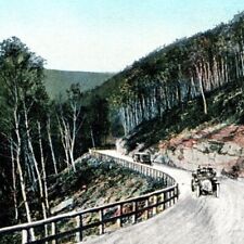 c.1925 Vintage Postcard Mohawk Trail Berkshire Hills Massachusetts Landscape-LH7 picture