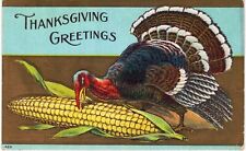 Thanksgiving Tom Turkey Eats Corn Cob 1908  picture