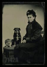 Excellent Tintype Victorian Woman with Cat & Dog Photo Antique RARE VTG picture