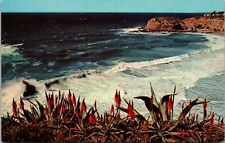 Three-Arch Bay California Postcard picture