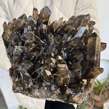 12.45LB Large Natural Smoky Quartz Cluster Black Crystal Specimen Healing Stone picture