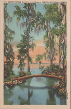 c1930s Rustic Bridge Over Canal Florida Cypress Gardens FL UNP B3744 MR ALE P&P picture