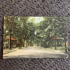 c1908 Hartford,CT Washington Street Connecticut S. L. & Co. Antique Postcard picture