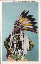 c1930s Native Americana Postcard 
