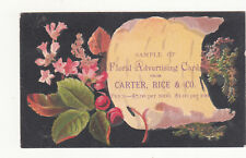 Carter Rice & Co Floral Advertising Cards Flowers Bark Scroll Vict Card c1880s picture