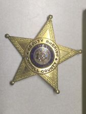 Vintage Obsolete Deputy Sheriff Carroll County State Maryland 5 Point Star Badge picture