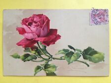 cpa illustration litho signed Catherine KLEIN FLOWER FLOWER PINK red PINK RED picture