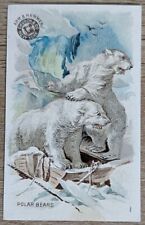 1898 AH910 Church & Co Arm & Hammer Interesting Animals Polar Bear Trade Card #1 picture
