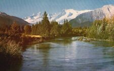 Postcard AK Mendenhall River from Mendenhall Glacier Chrome Vintage PC H4745 picture