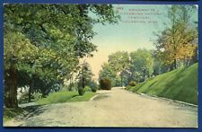 Vicksburg Mississippi ms National Cemetery Driveway 1910s Postcard picture