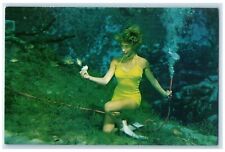 c1960's Feeding The Fish Underwater At Weeki Wachee Springs Florida FL Postcard picture
