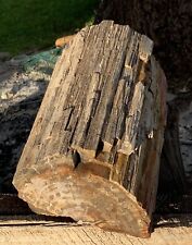 🍀RR⛏️: Detailed Woodworthia Log, Arizona Petrified Wood, 36+lb picture