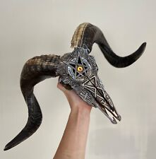 real ram skull with hand carving satan eyes Real Skull Animal Skull Taxidermy picture