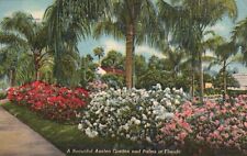 Azalea Garden & Palms in Florida, FL, 1945 Linen Antique Vintage Postcard e4066 picture