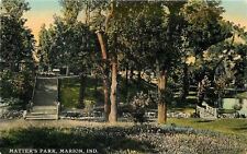Marion IN Footbridge to Pond~Steps to Matter's Park~Stone Wall~c1910 Postcard pc picture