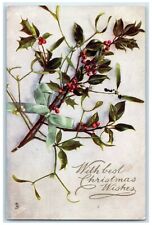 1924 Christmas Wishes Holly Berries Oilette Tuck's Winsted Minnesota MN Postcard picture
