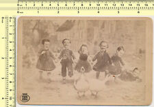 163 1895 Funny Face in a Hole Men Guys Swans Strange Abstract Surreal old photo picture