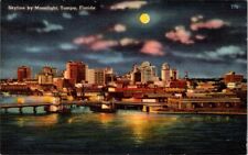 Vintage postcard - Skyline by Moonlight, Tampa, Florida posted 1955 picture
