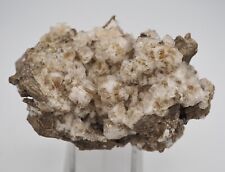 Fluorite with Sphalerite Dundas Quarry, Ontario, Canada  picture
