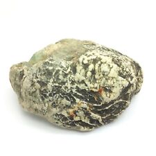 Mendocino Nephrite Jade River Polished Stone Botryoidal Features California  picture