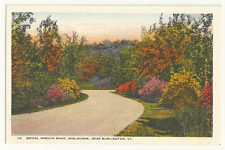 Burlington, VT 1910s Bridal Wreath Road, Shelburne, VTG Postcard VTG picture