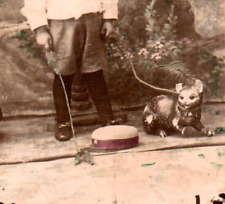Antique 1800s CDV Photo Little Boy with Strange Stuffed Animals on Leashes picture