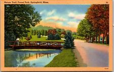 Vtg Springfield Massachusetts MA Nature Trail Bridge Forest Park 1930s Postcard picture