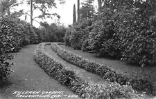 Tallahassee Florida 1940s RPPC Real Photo Postcard Killearn Gardens picture