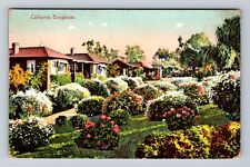 CA-California, Bungalows, Antique, Vintage c1908 Postcard picture