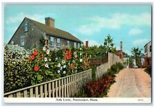 Ash Lane Dirt Road Garden Fence Scene Nantucket Massachusetts MA Postcard picture