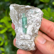 Exquisite Tourmaline on Quartz Matrix Stunning Natural Mineral Specimen picture